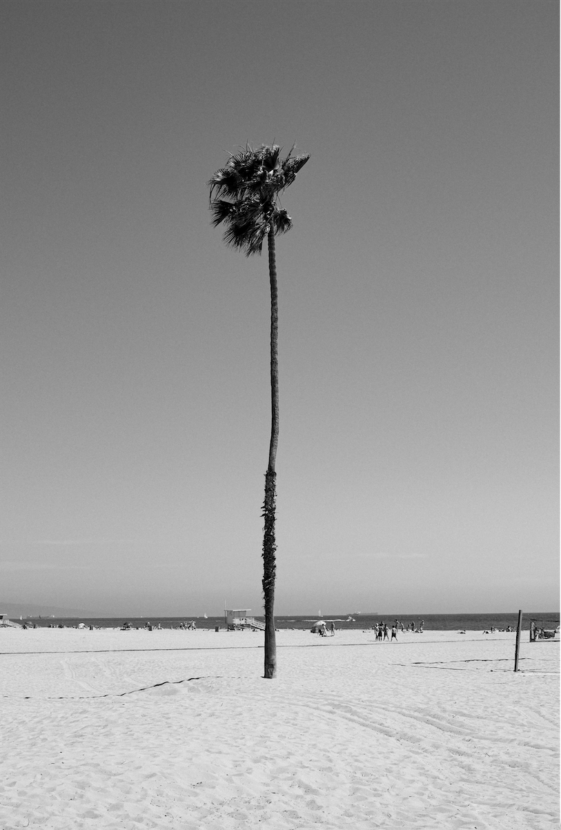 CALIFORNIA LEAN