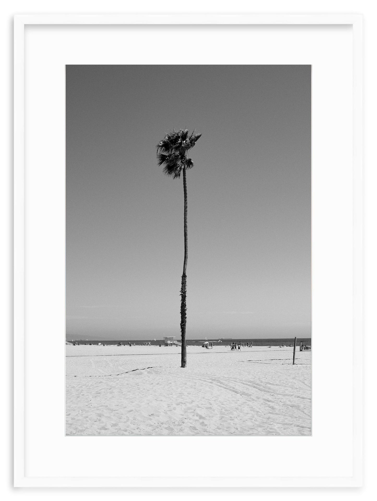 CALIFORNIA LEAN