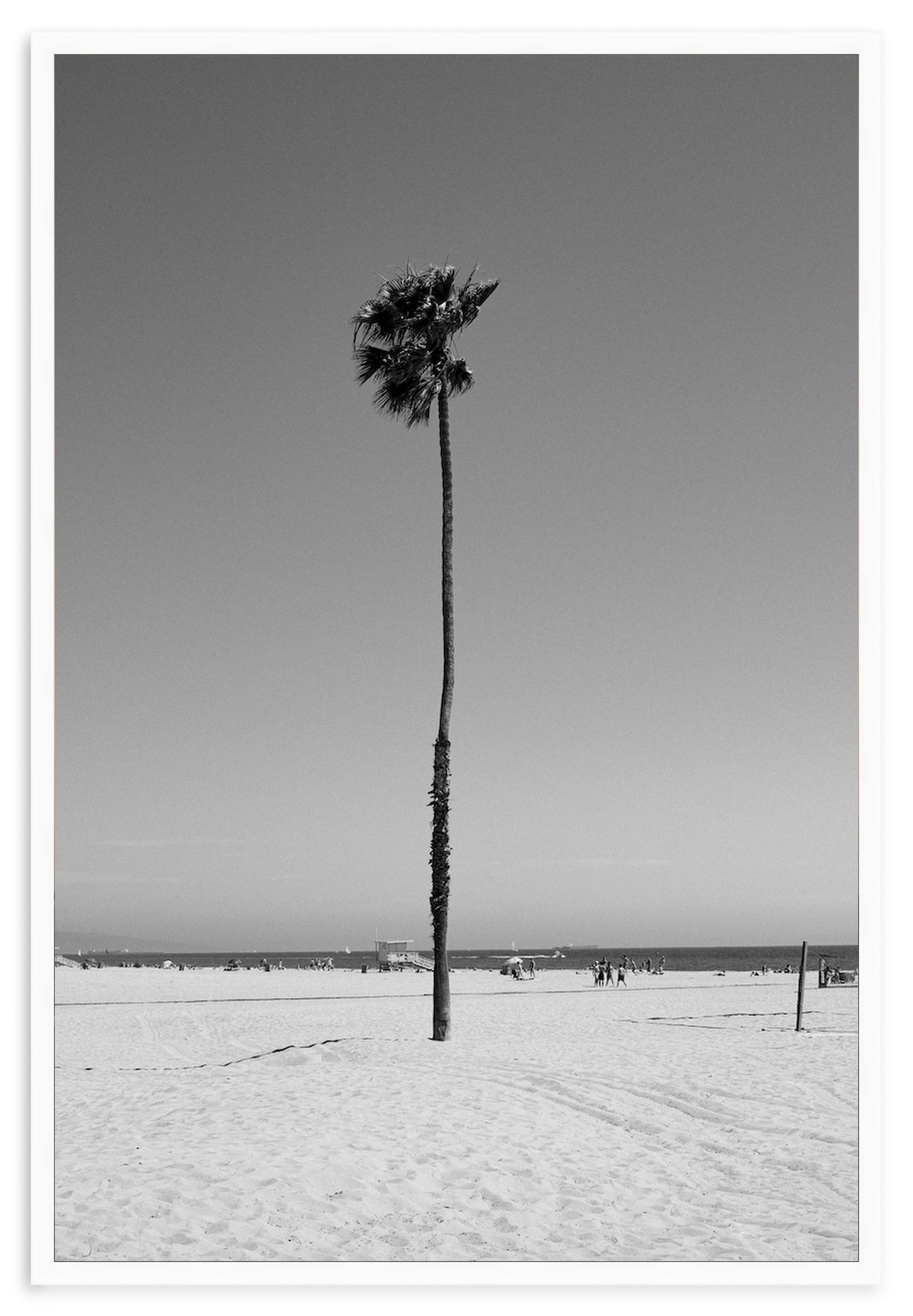 CALIFORNIA LEAN