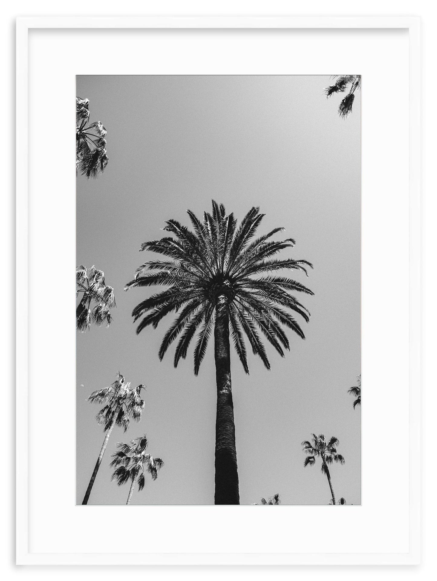SKY HIGH – Beverly Hills