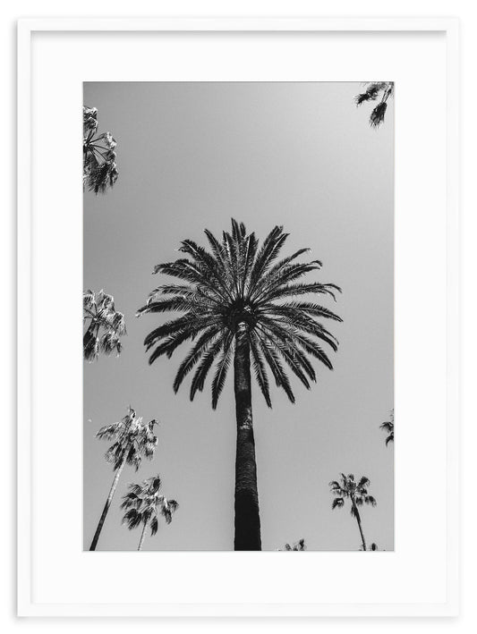 SKY HIGH – Beverly Hills