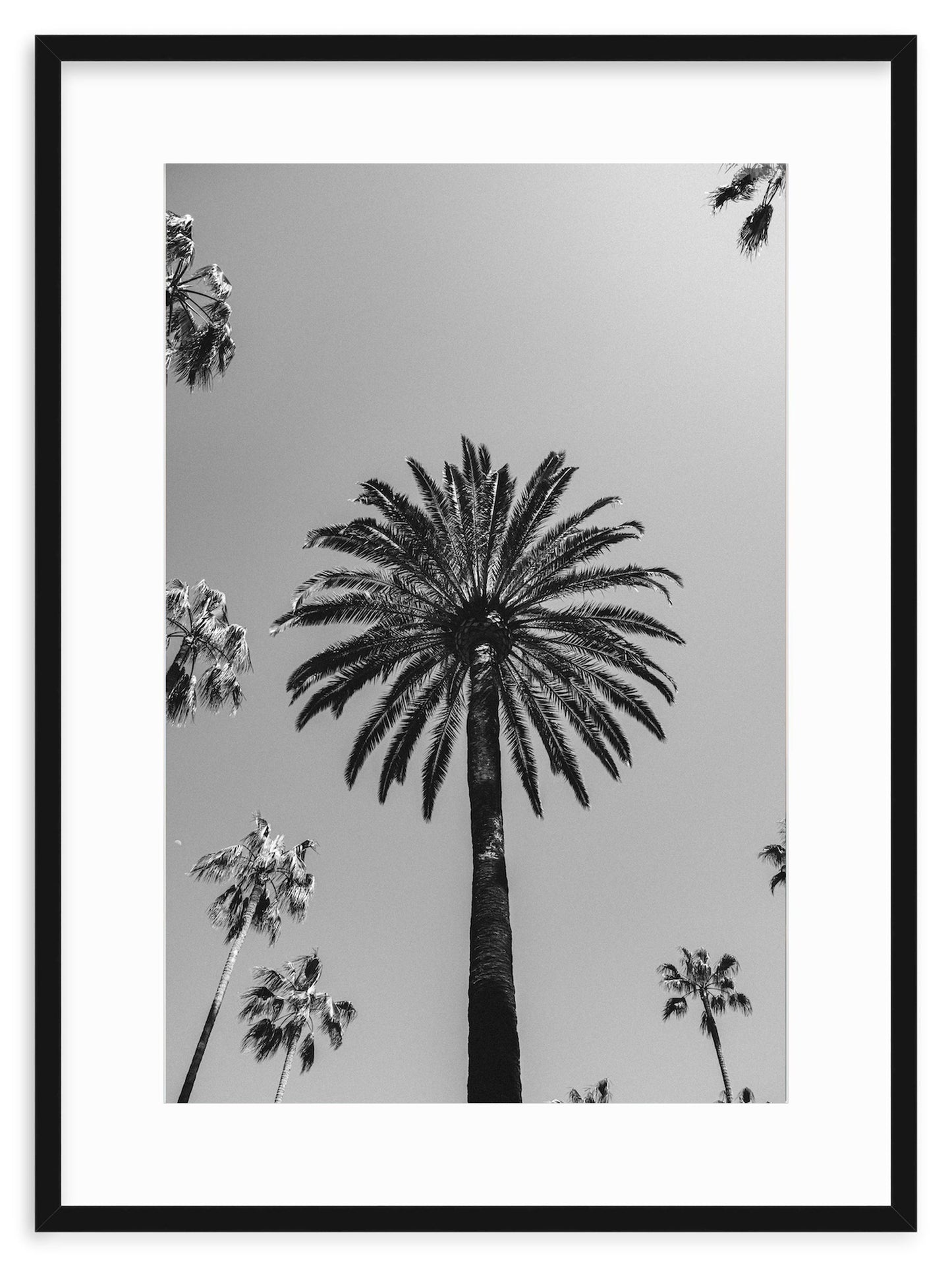 SKY HIGH – Beverly Hills