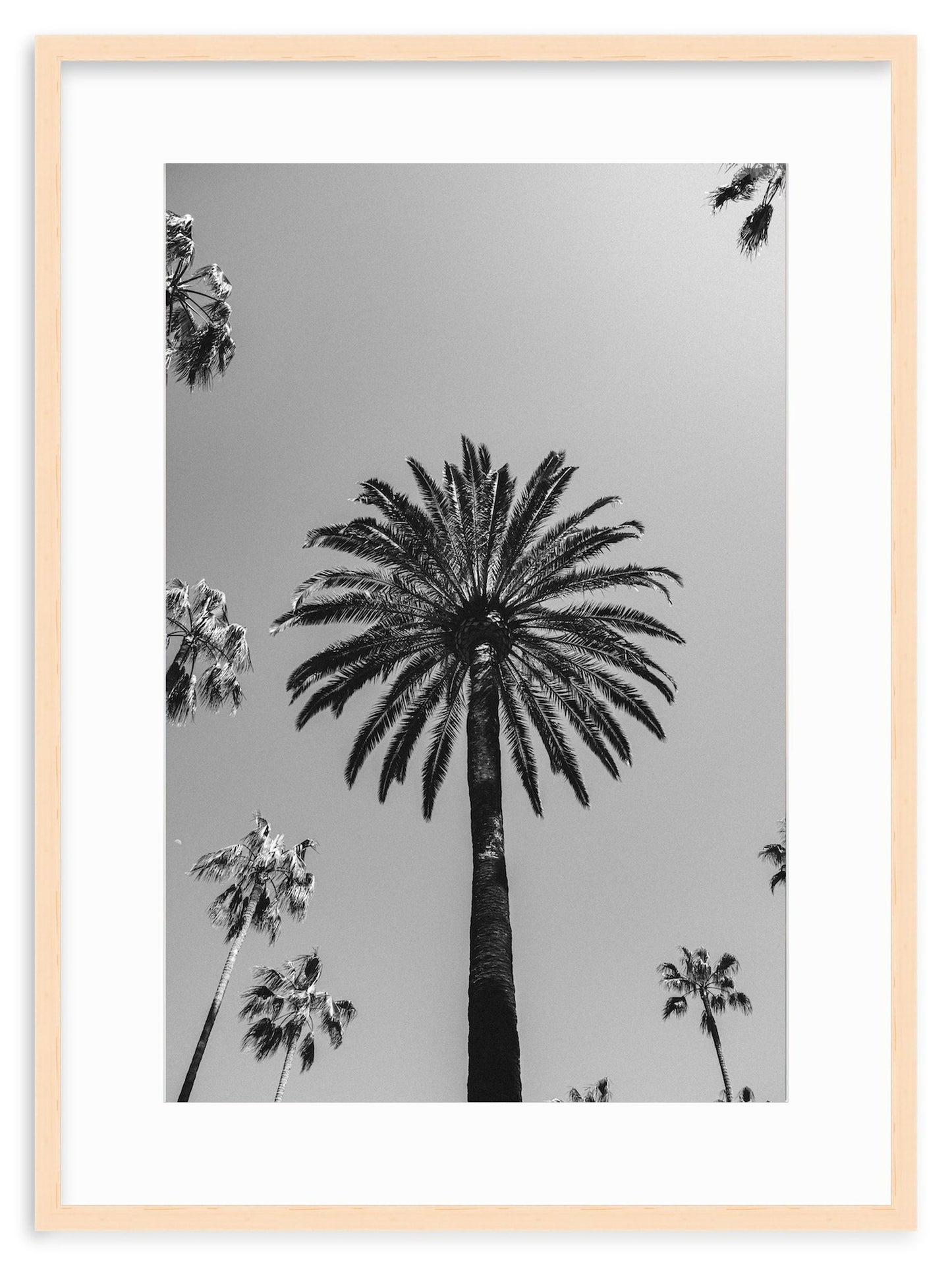 SKY HIGH – Beverly Hills