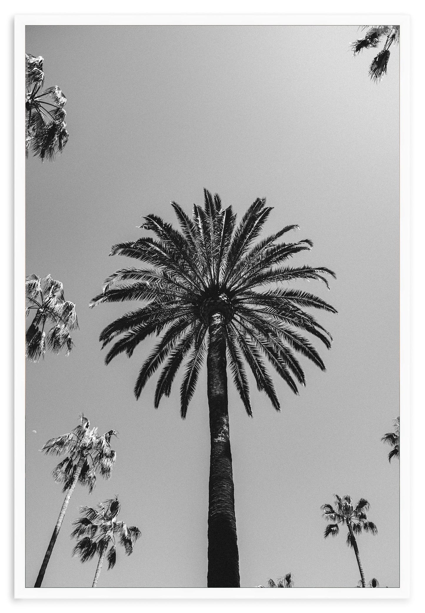 SKY HIGH – Beverly Hills