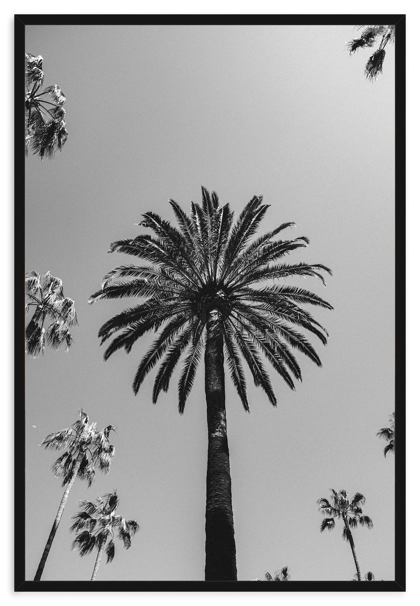 SKY HIGH – Beverly Hills