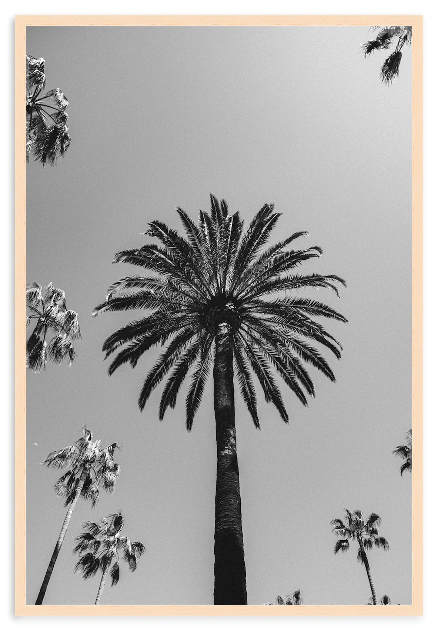 SKY HIGH – Beverly Hills